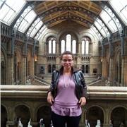 Docente di scuola elementare e insegante di sostegno